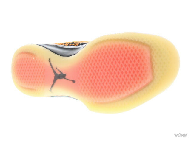 【US12】 AIR JORDAN XXXI “SHATTARED BACKBOARD” 845037-021 【DS】