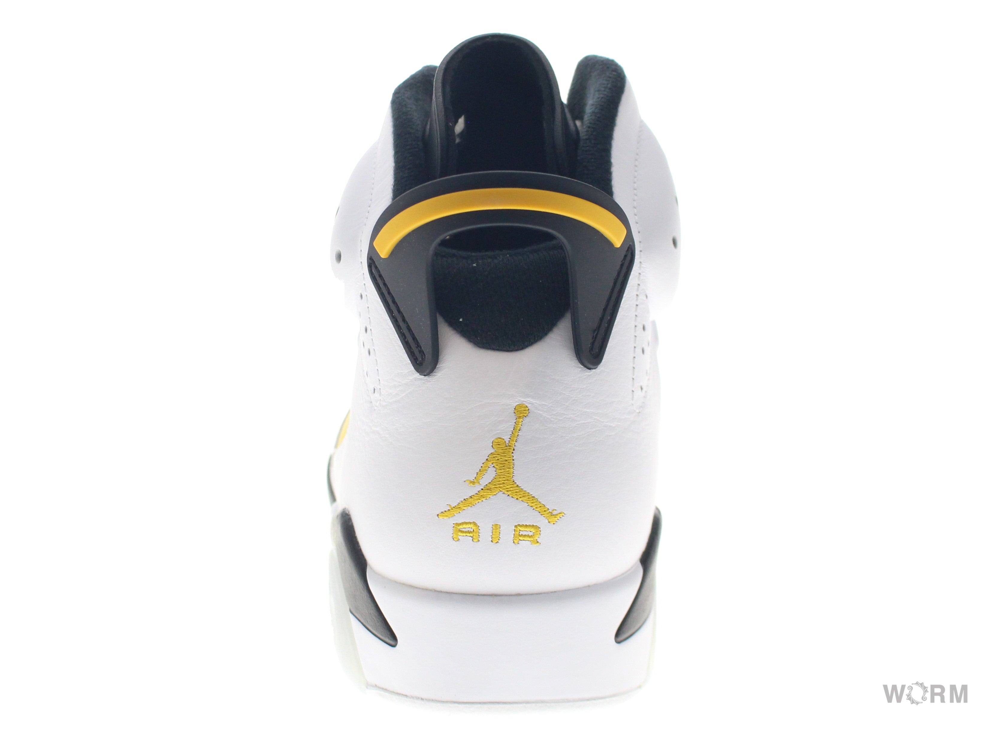【US10.5】 AIR JORDAN 6 RETRO CT8529-170 【DS】