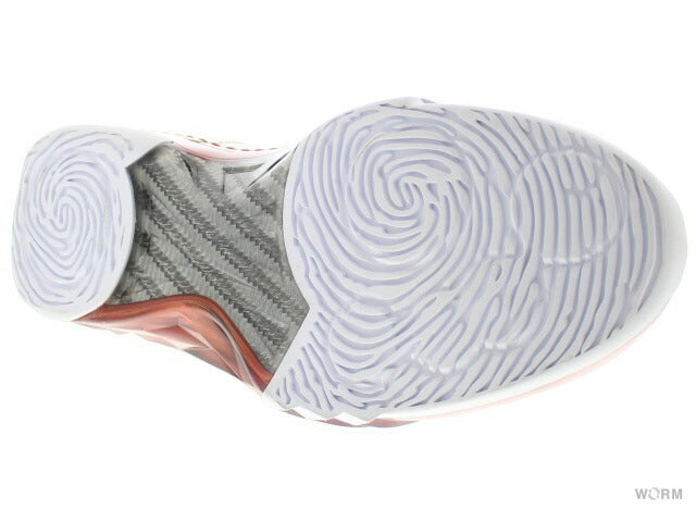 【US12】 AIR JORDAN 23 318376-161 【DS】