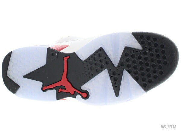 【US11】 AIR JORDAN 6 RETRO CT8529-162 【DS】