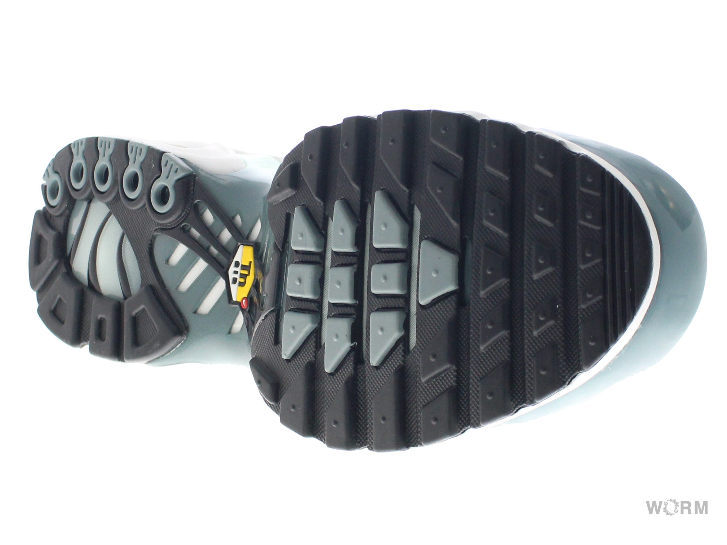 【US12】 NIKE AIR MAX PLUS FV0394-300 【DS】