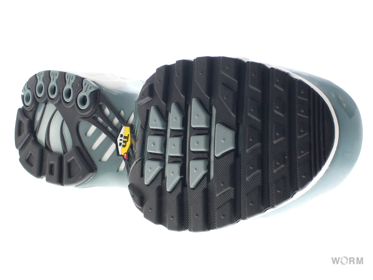 【US12】 NIKE AIR MAX PLUS FV0394-300 【DS】-WORM TOKYO-WORM TOKYO WEB STORE-100% Authentic Sneakers