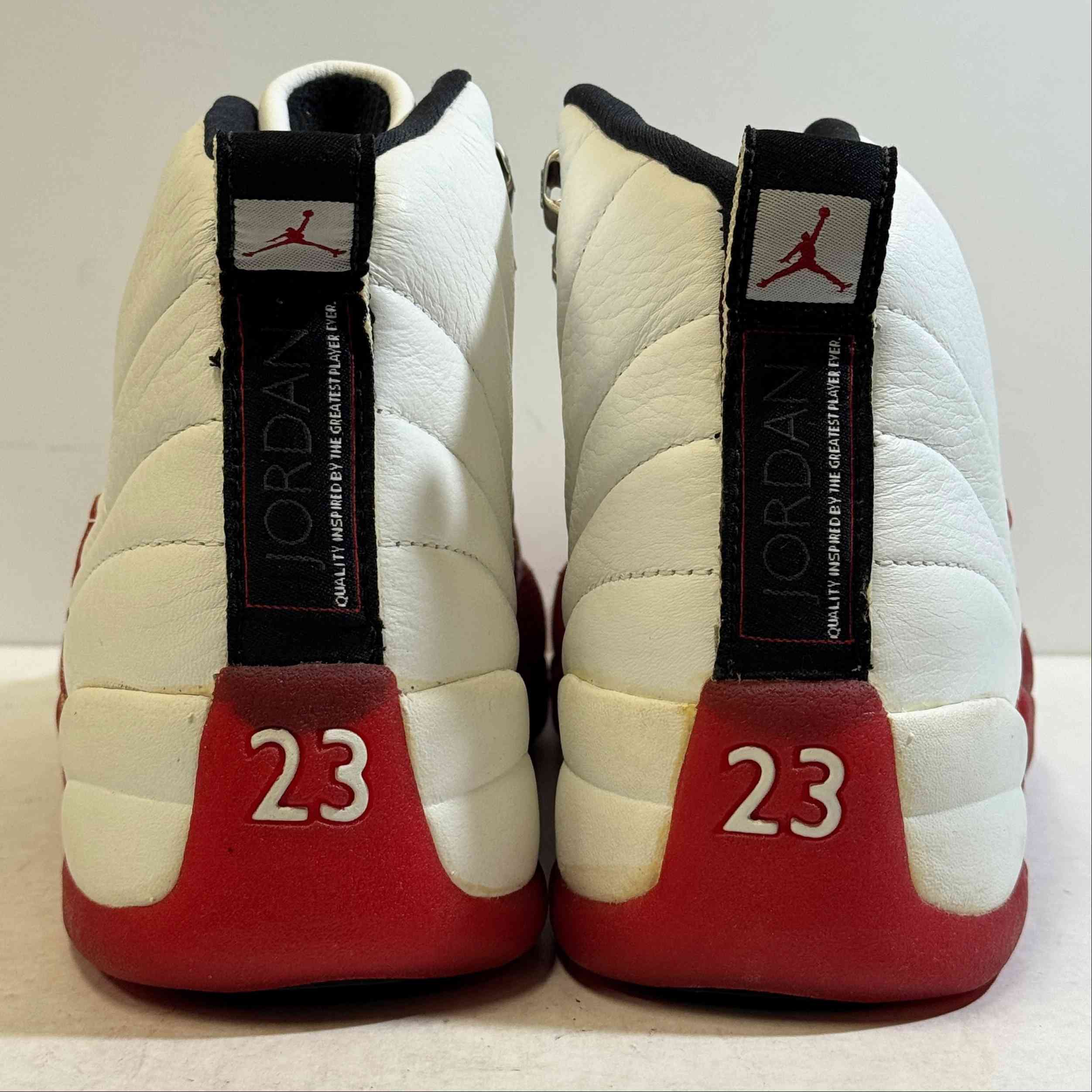 【US9.5】 AIR JORDAN 12 130690-161 【DS】