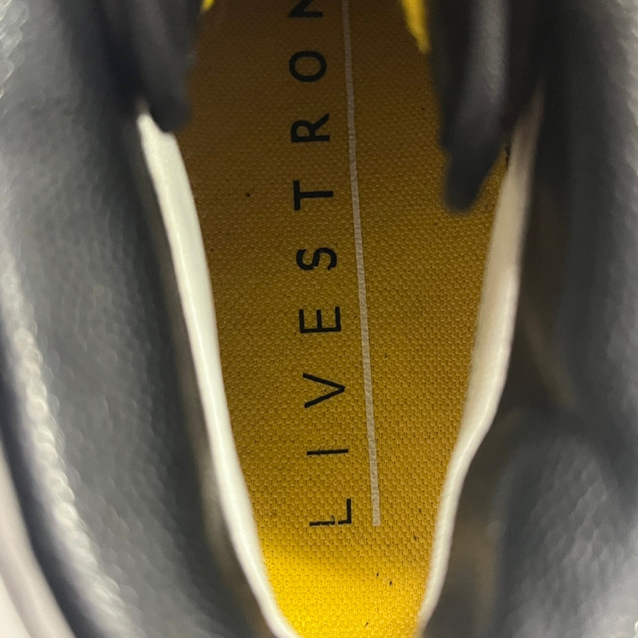 【US8.5】 NIKE DUNK HIGH SUPREME TZ LAF LIVESTRONG/FUTURA 378127-001 【USED】