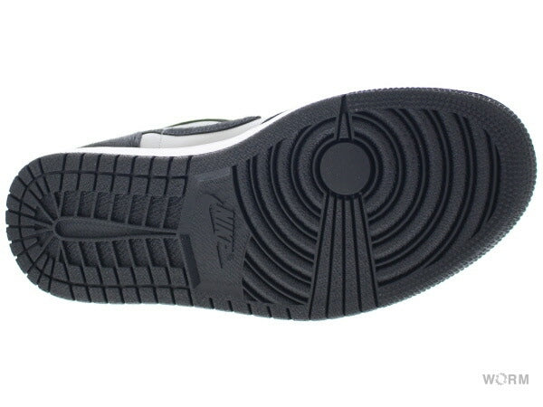 【W US10】 WMNS AIR JORDAN 1 RETRO HIGH OG DZ2523-001 【DS】