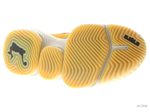 【US8.5】 NIKE LEBRON 16 LOW AC atmos CD9471-800 【DS】