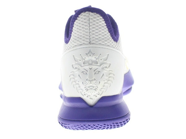 【US10】 NIKE LEBRON WITNESS IV EP CD0188-100 【DS】