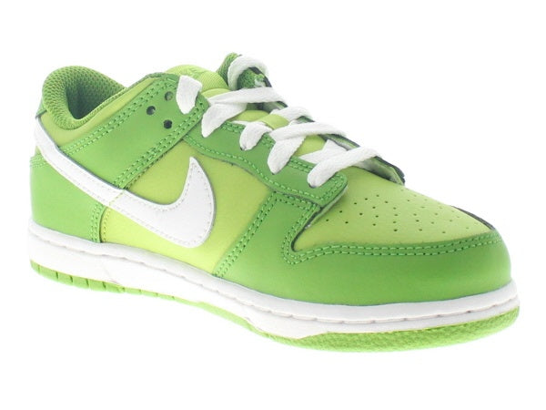 【US2Y】 NIKE DUNK LOW (PS) DH9756-301 【DS】