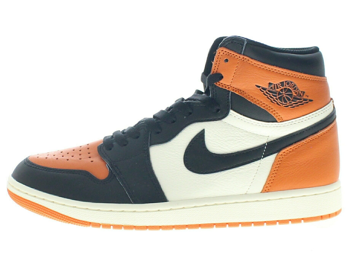 【US12】 AIR JORDAN 1 RETRO HIGH OG DZ5485-008 【DS】