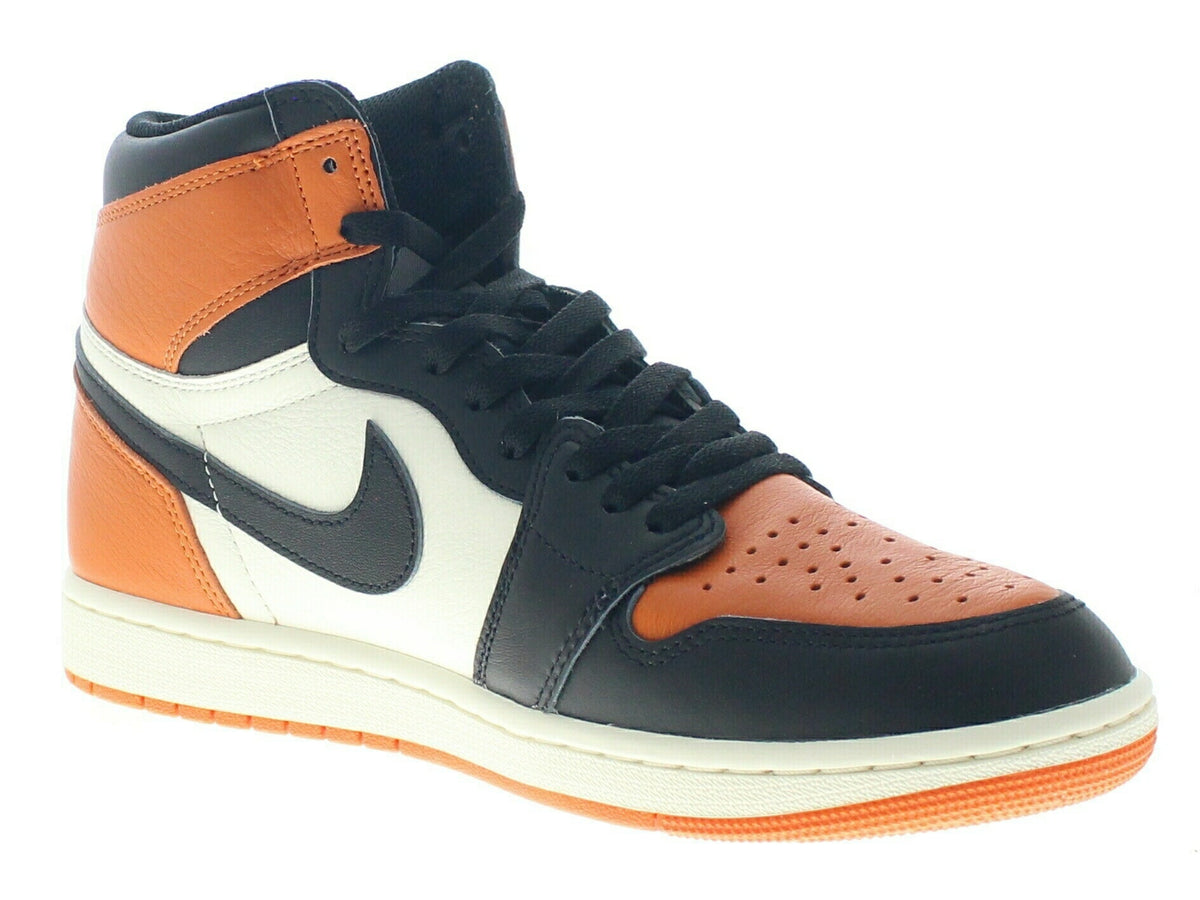 【US12】 AIR JORDAN 1 RETRO HIGH OG DZ5485-008 【DS】