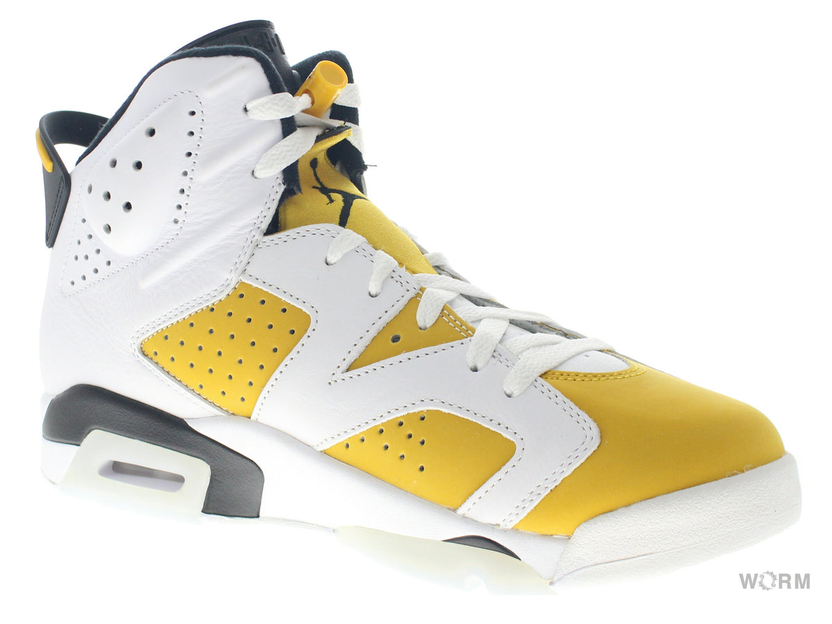 【US9.5】 AIR JORDAN 6 RETRO CT8529-170 【DS】