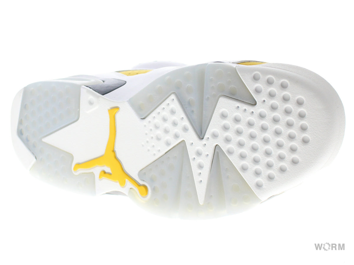 【US9.5】 AIR JORDAN 6 RETRO CT8529-170 【DS】