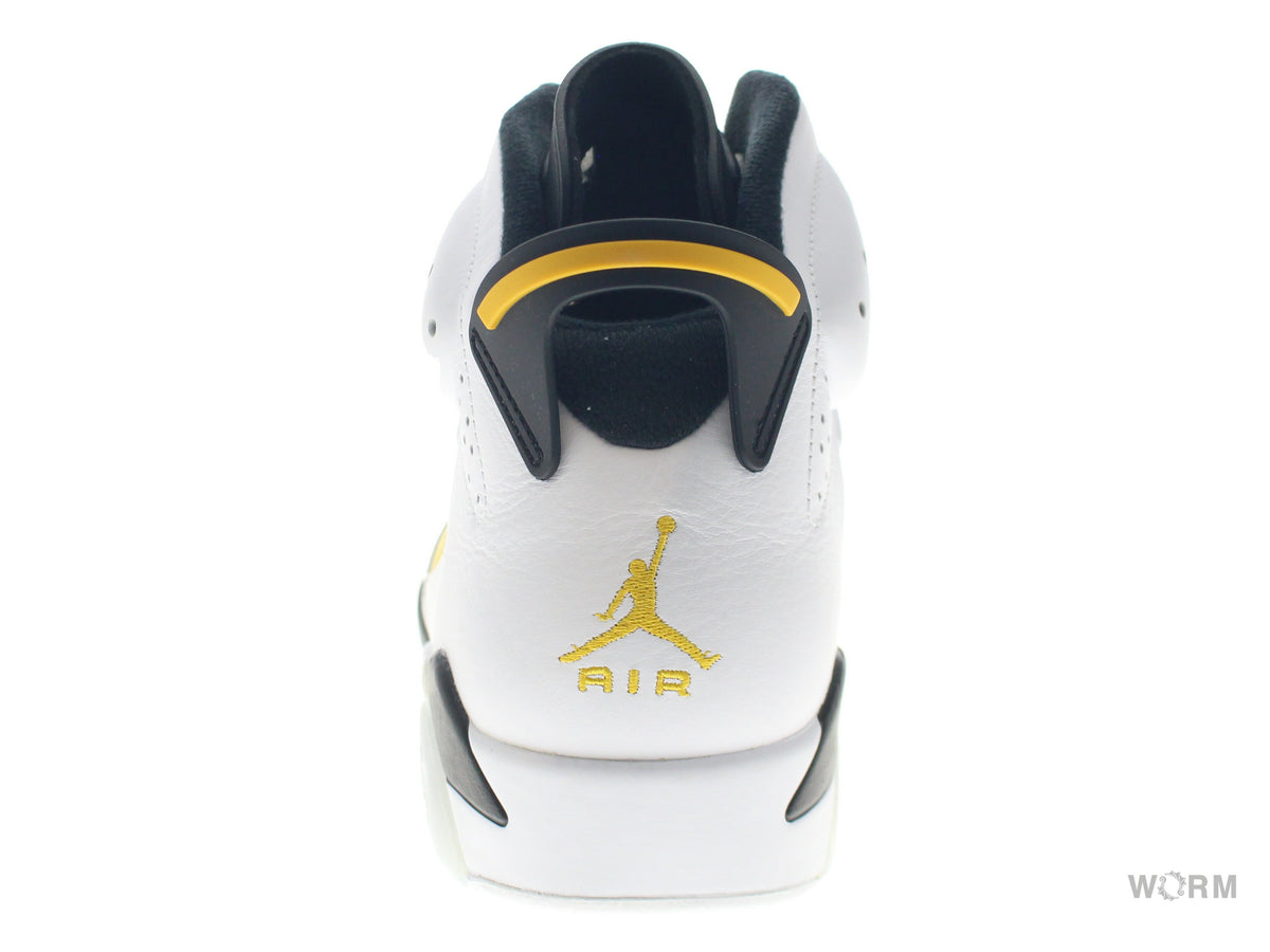 【US9.5】 AIR JORDAN 6 RETRO CT8529-170 【DS】