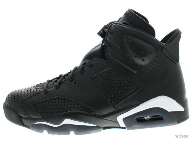 【US9】 AIR JORDAN 6 RETRO BLACK CAT 384664-020 【DS】