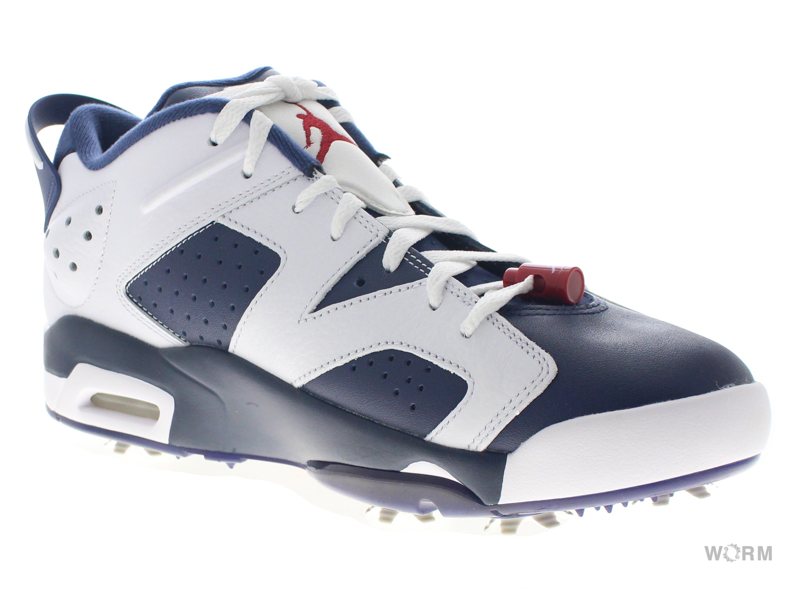 【US11.5】 AJ RETRO 6 G DV1376-101 【DS】