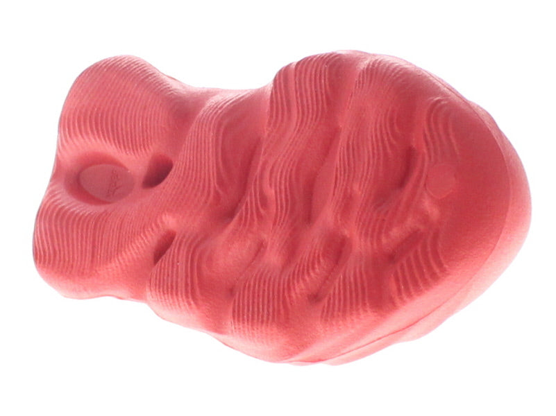 【US5K】 adidas YEEZY FOAM RUNNER GX1137 【DS】