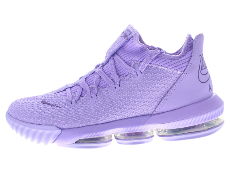 lebron xvi air trainer