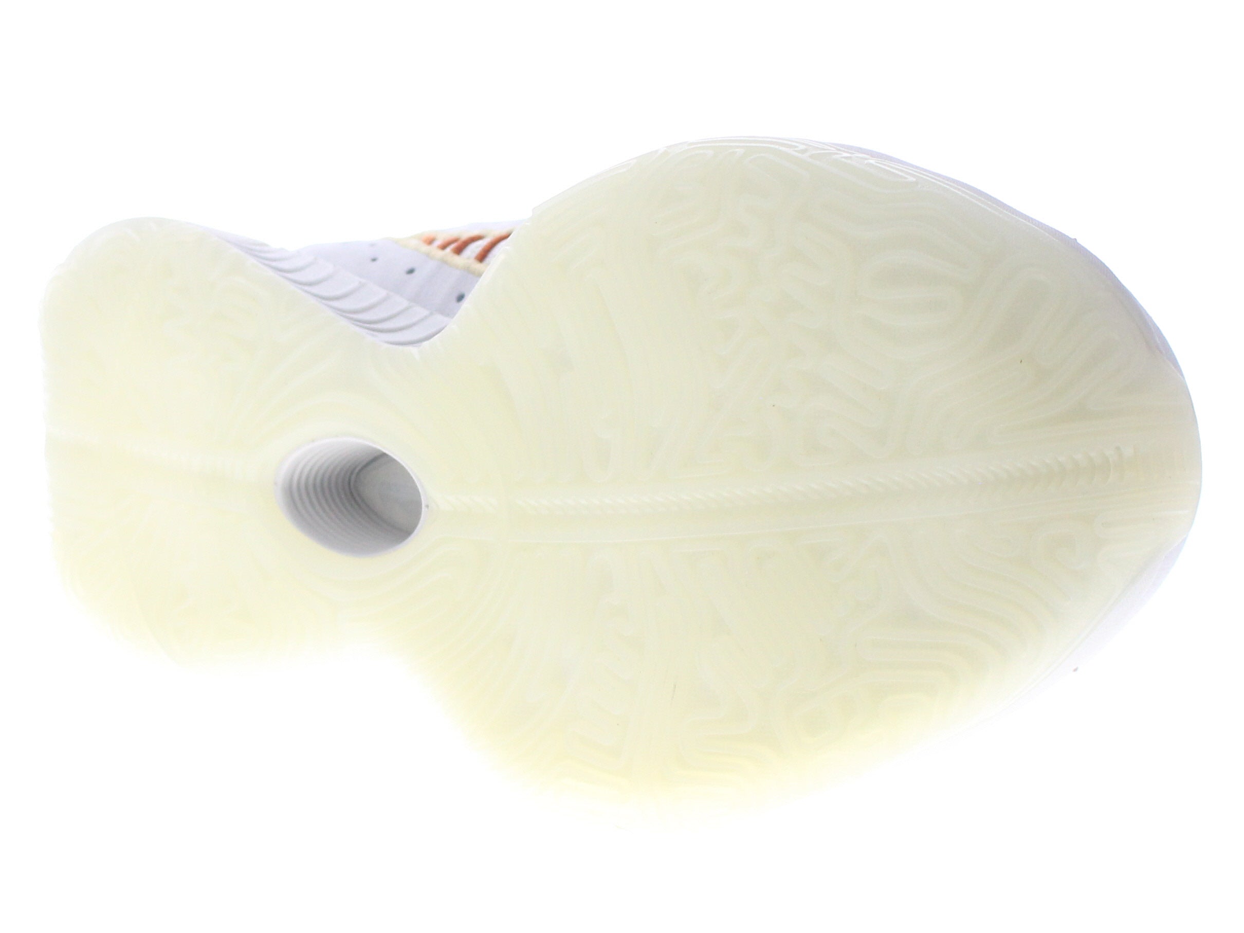 【US10】 NIKE LEBRON XXI EP FV2346-001 【DS】