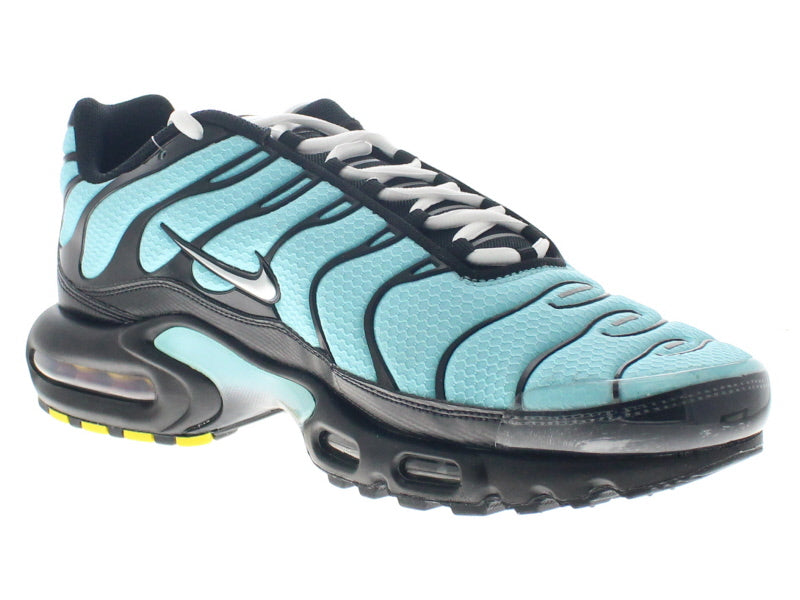 【US11】 NIKE AIR MAX PLUS CU8838-400 【DS】