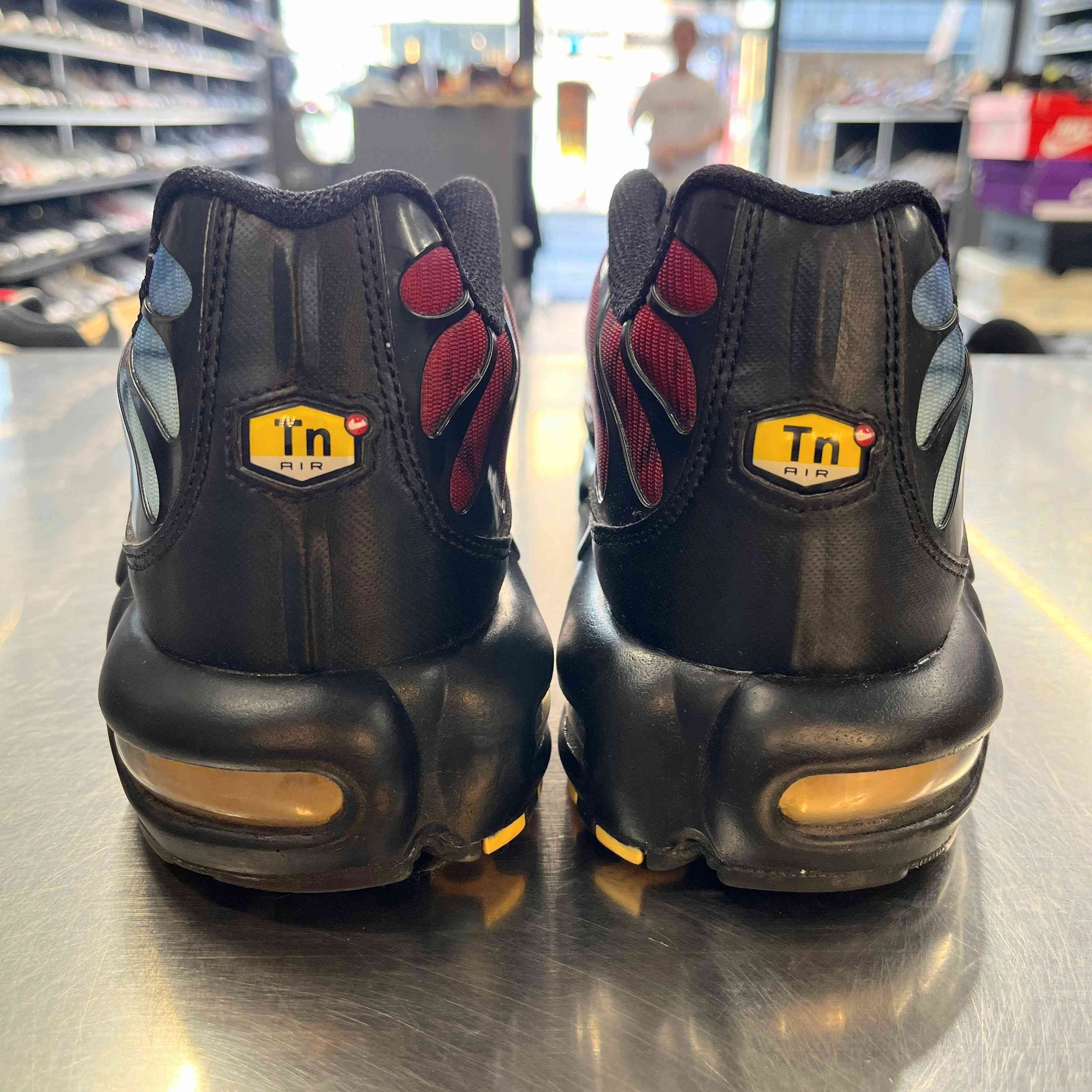 【US11】 NIKE AIR MAX PLUS 25th Anniversary FV0393-001 【USED】