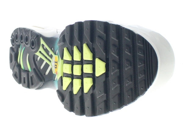 【W US12】 NIKE W AIR MAX PLUS DZ3670-102 【DS】