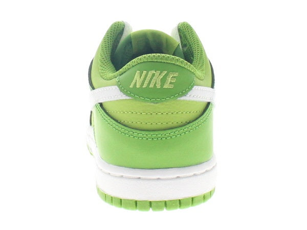 【US2Y】 NIKE DUNK LOW (PS) DH9756-301 【DS】