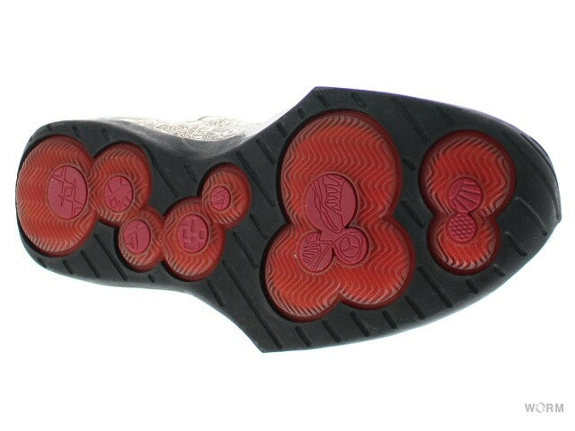 【US10】 AIR JORDAN 20 310455-161 【DS】