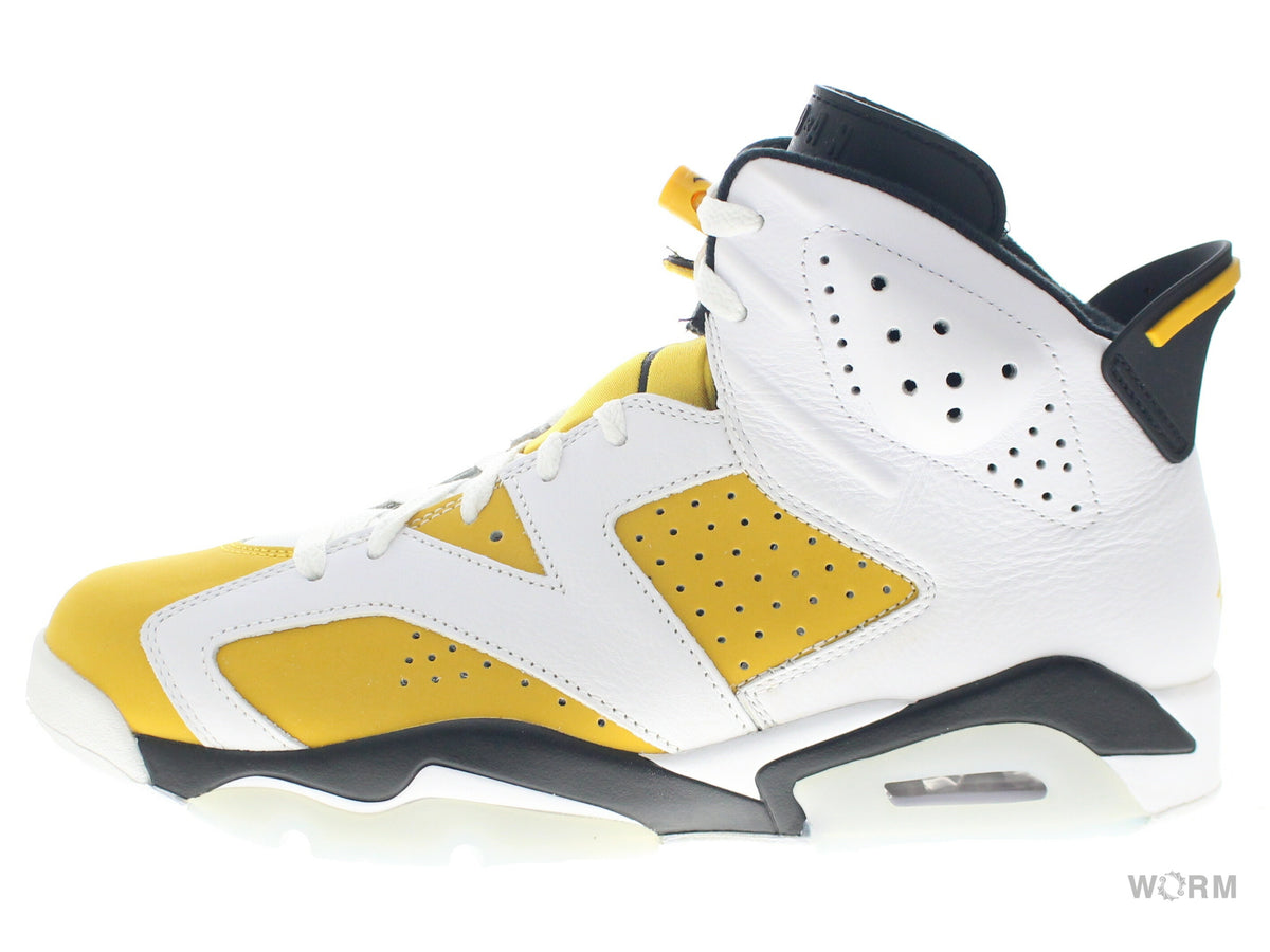 【US9.5】 AIR JORDAN 6 RETRO CT8529-170 【DS】